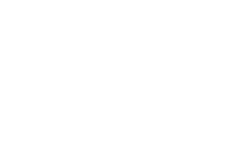 Logo Boostman